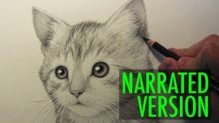 How to Draw a Kitten Narrated Step by Step [upl. by Alimac]