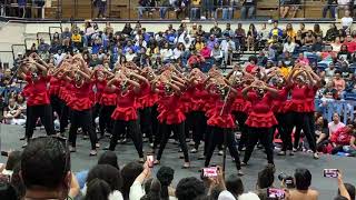 Delta Sigma Theta  AMazing Alpha Mu Chapter🐘🔺 Spr19 NCAT [upl. by Enait]